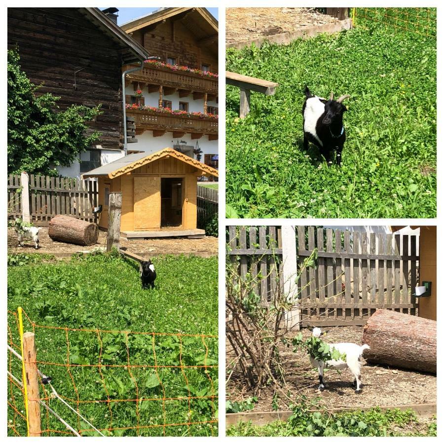 Obergrundhof Apartment Leogang Exterior photo